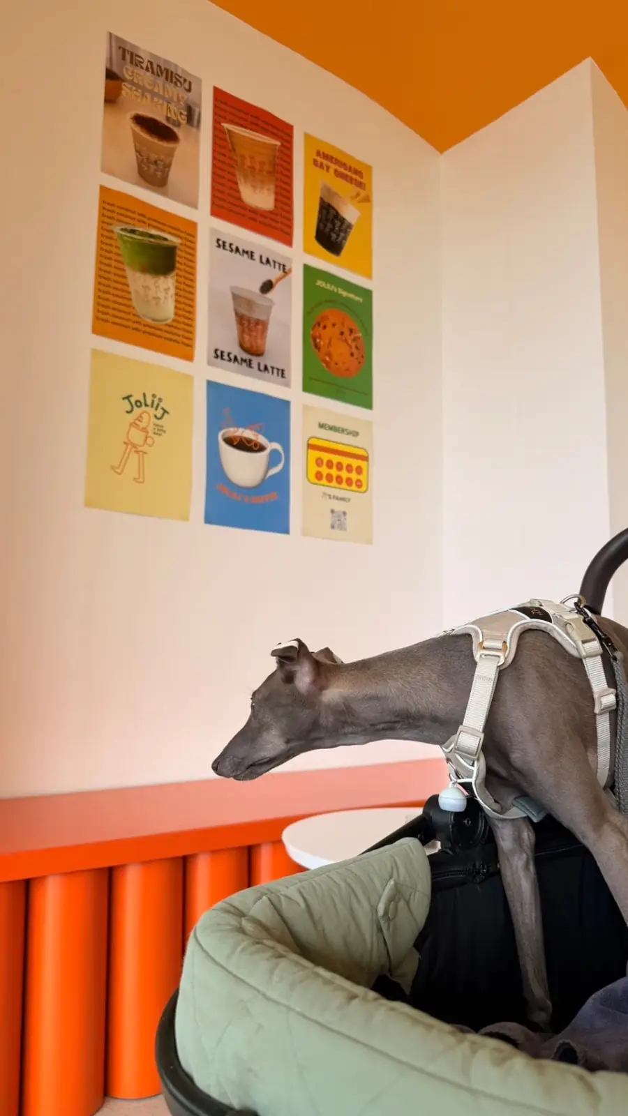 Joliiicoffee pets image 2