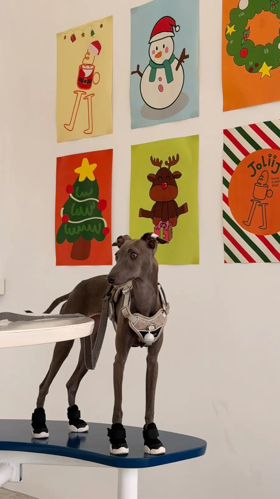 Joliiicoffee pets image 3