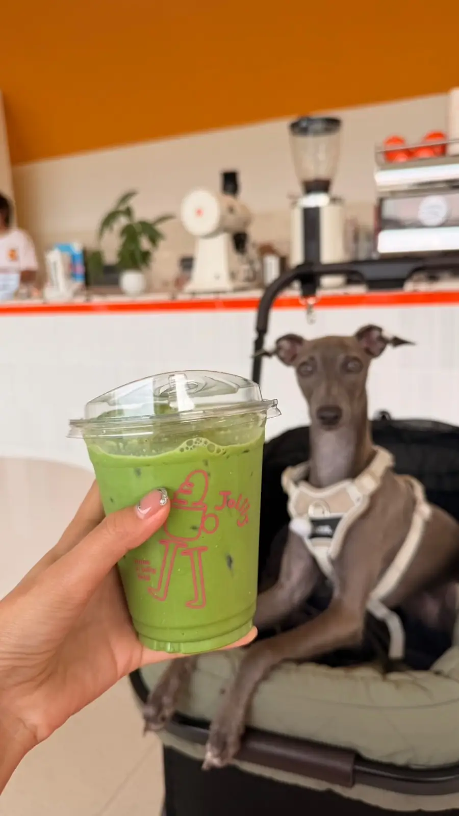 Joliiicoffee pets image 1