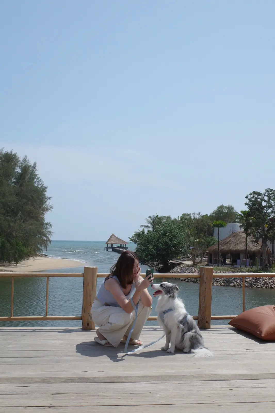 Lawon Canal Café pets image 4