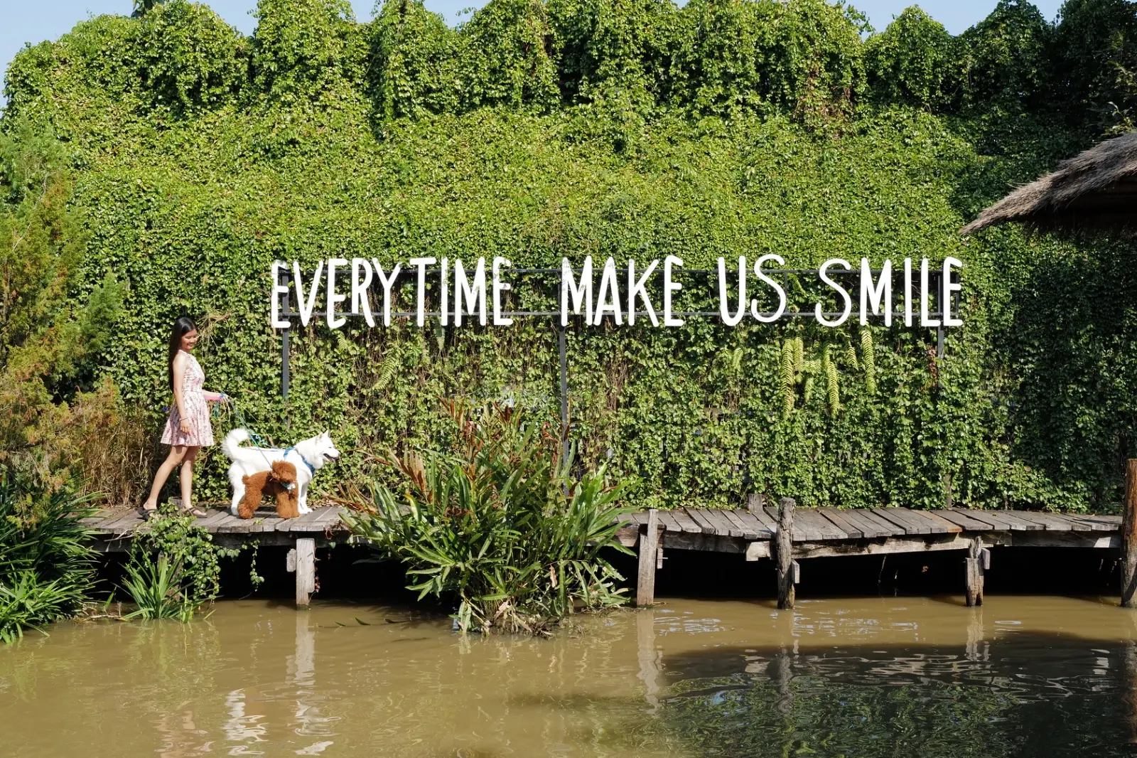 มองเทรอส์ คาเฟ่ pets image 3