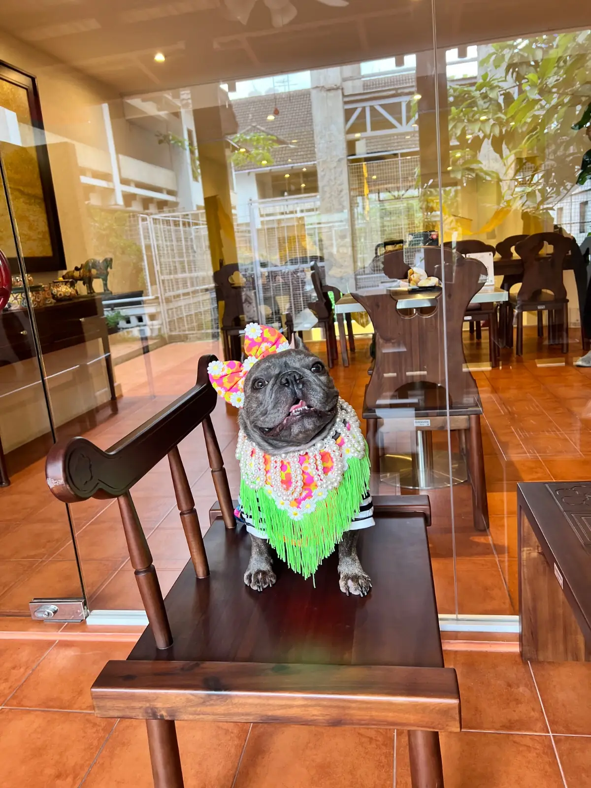 CAPHE OI SUKHUMVIT 49 other image 5