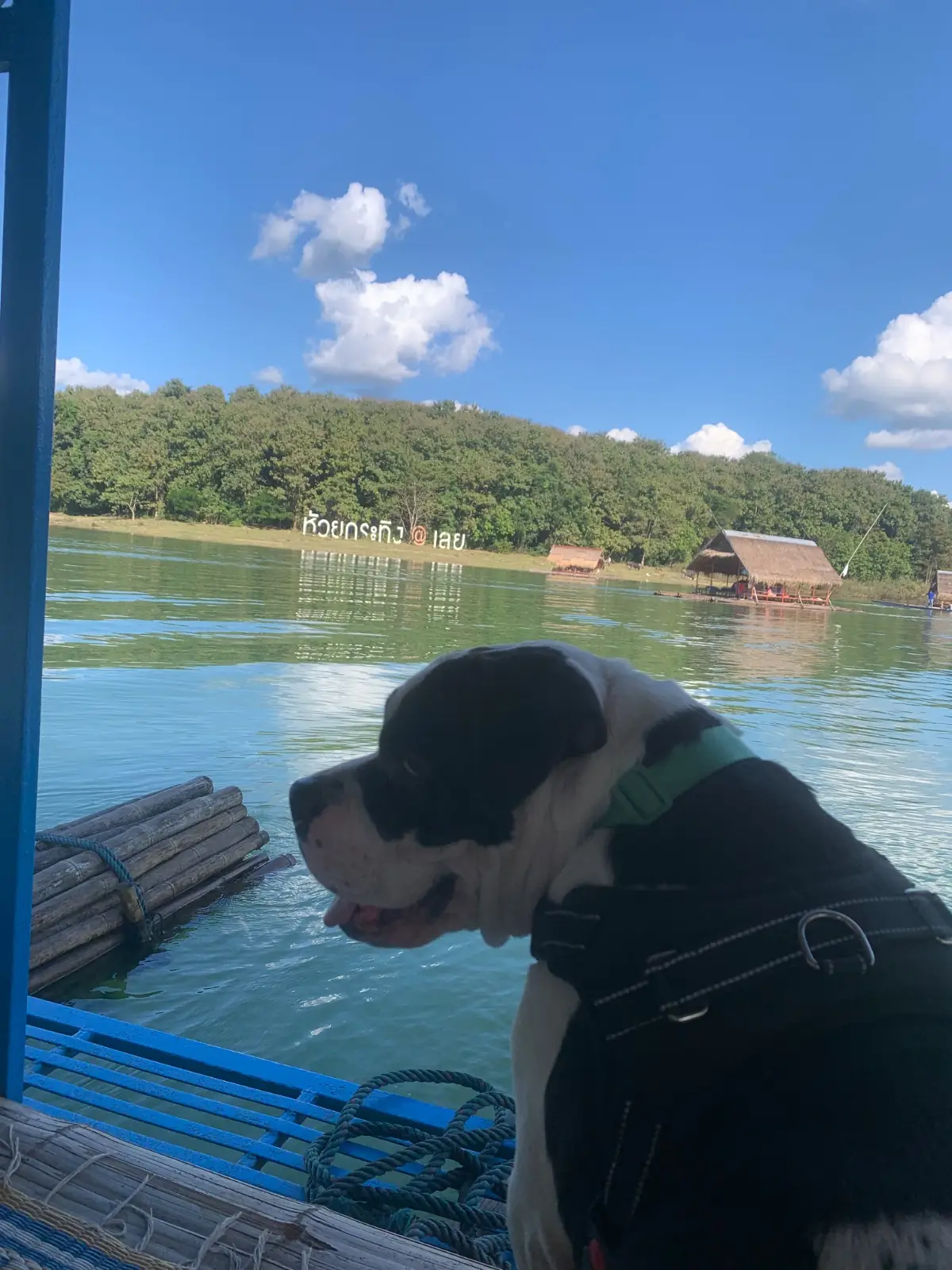 ห้วยกระทิง other image 2