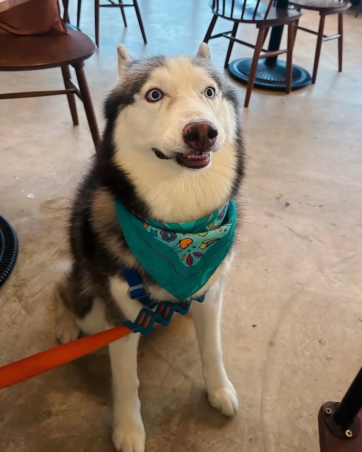 People and Tail other image 1