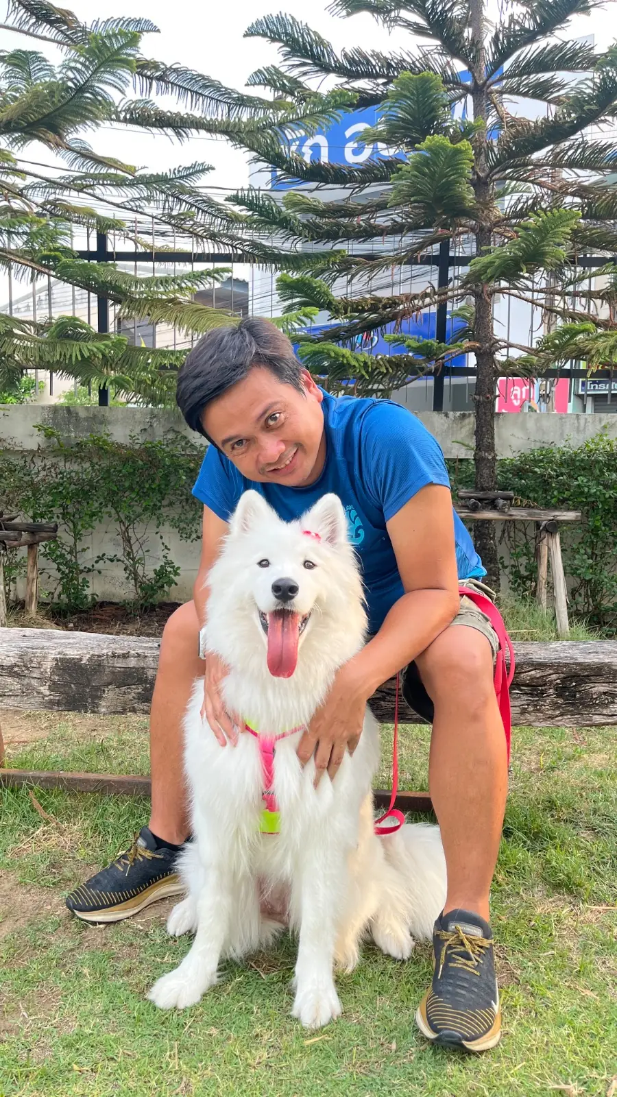 พีเพิล แอนด์ เทล pets image 7