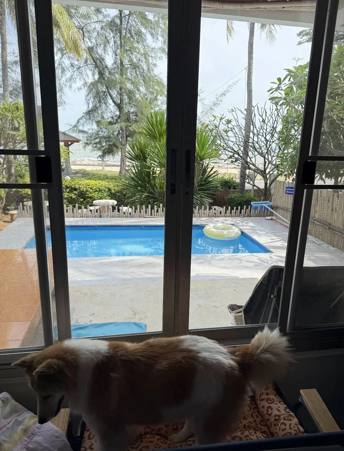At-Pran Sunrise Beach Resort pets image 1