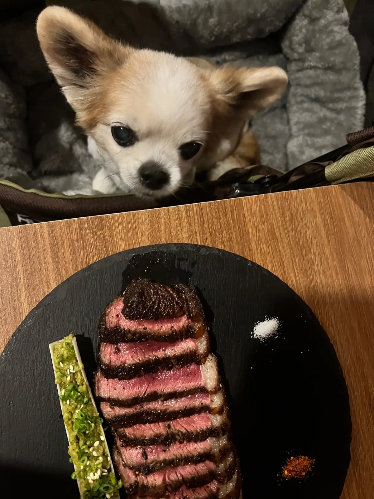 Doodle Izakaya pets image 2