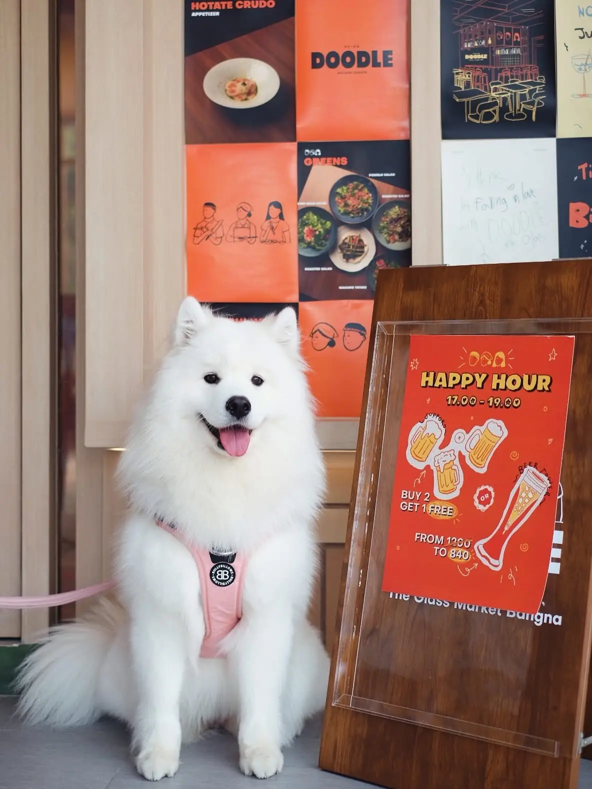 Doodle Izakaya pets image 4