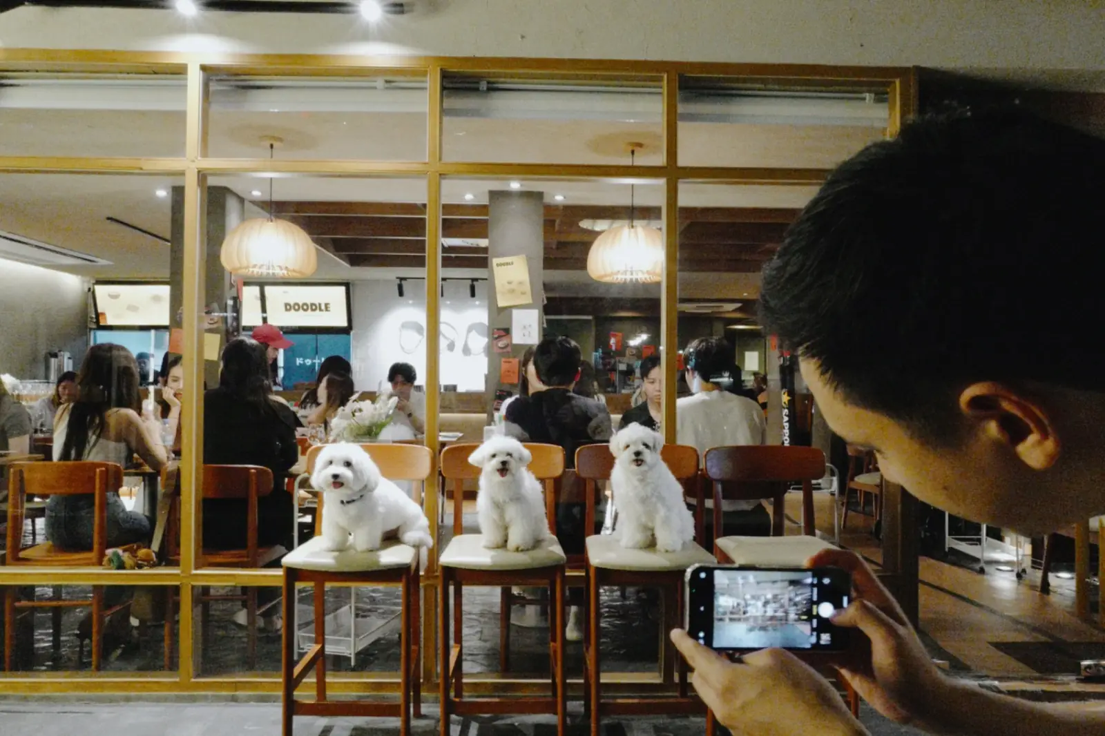 Doodle Izakaya pets image 1