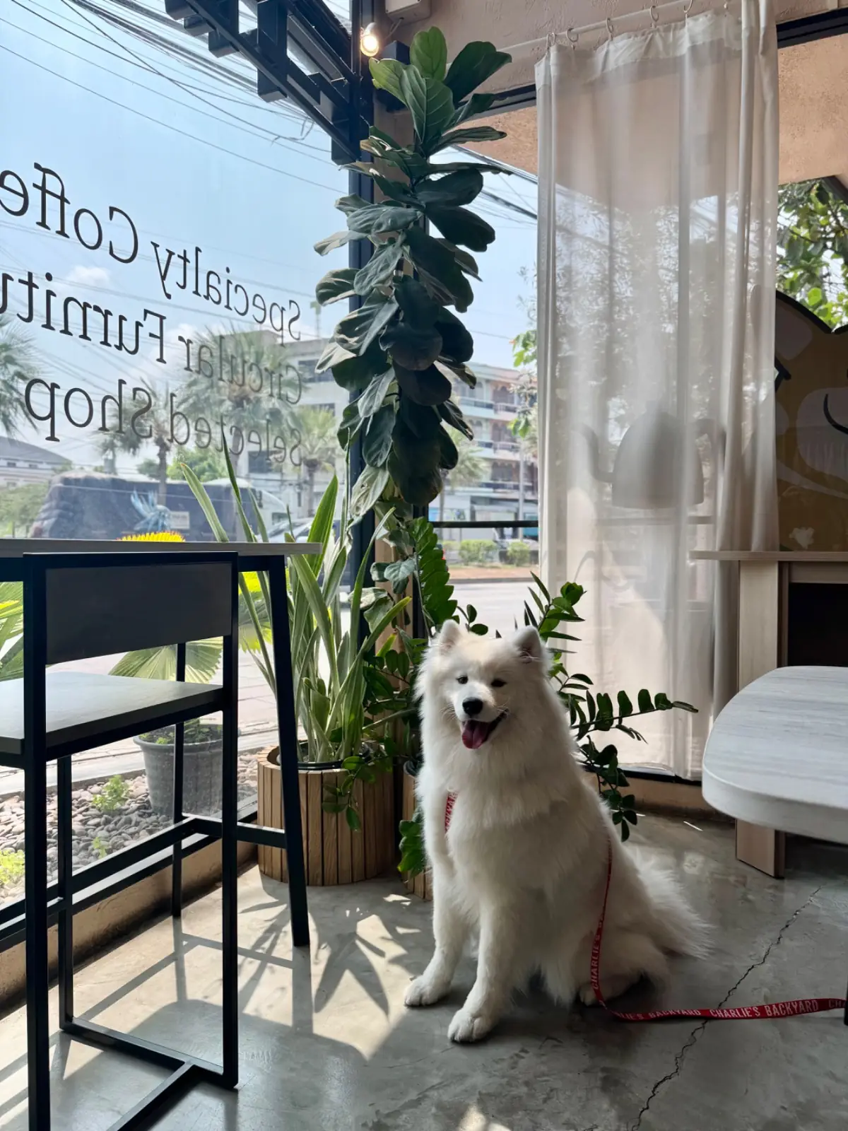 HARV ambiance image 1