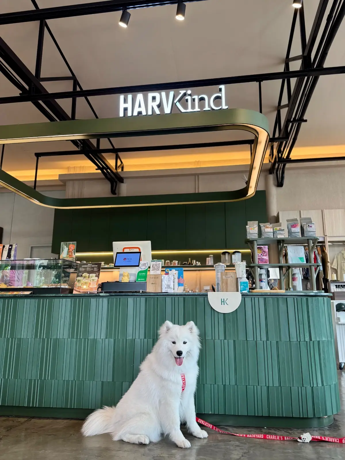 HARV Flagship Store overall image 3