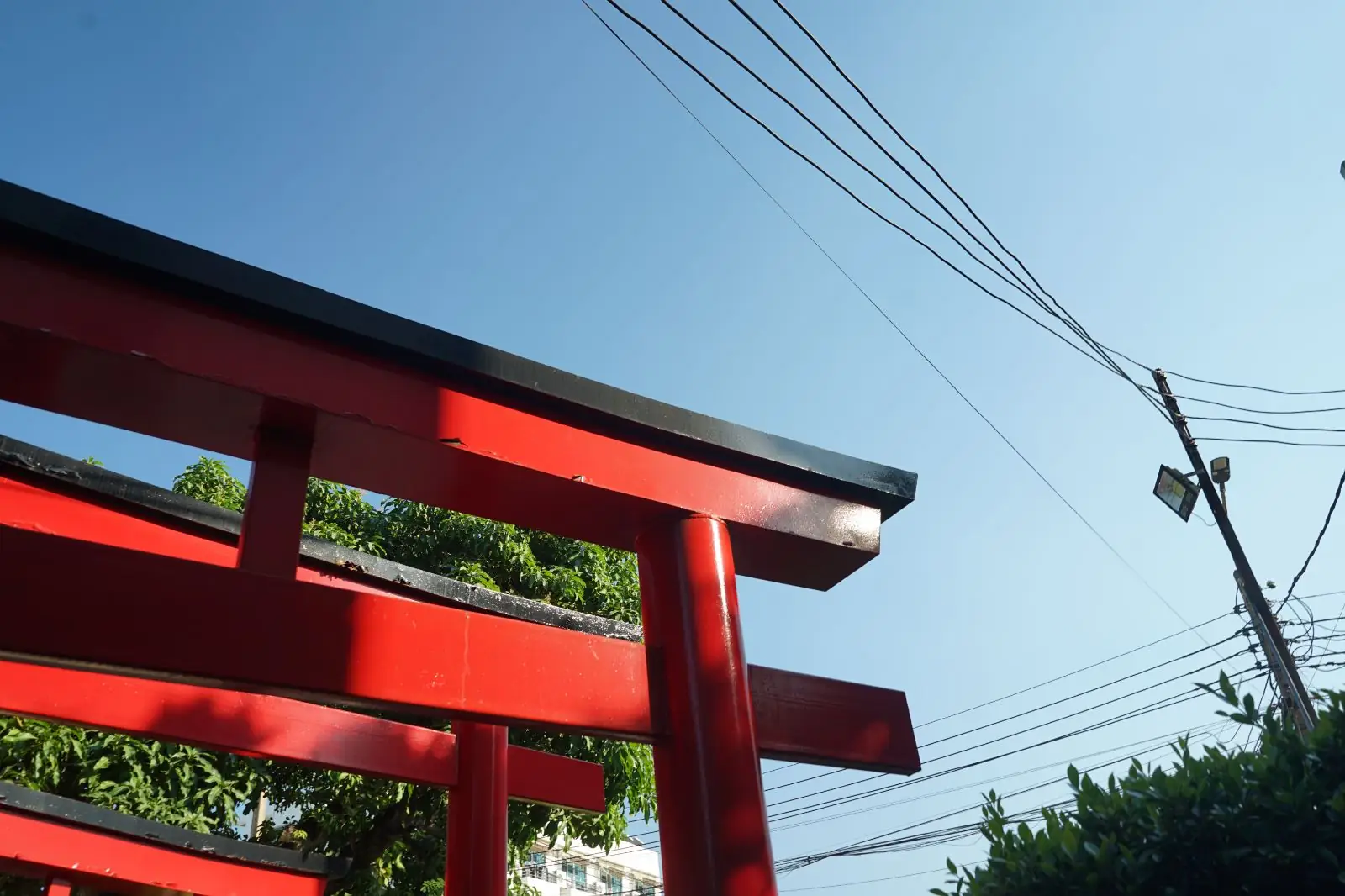 TIME’S HOUSE ambiance image 3