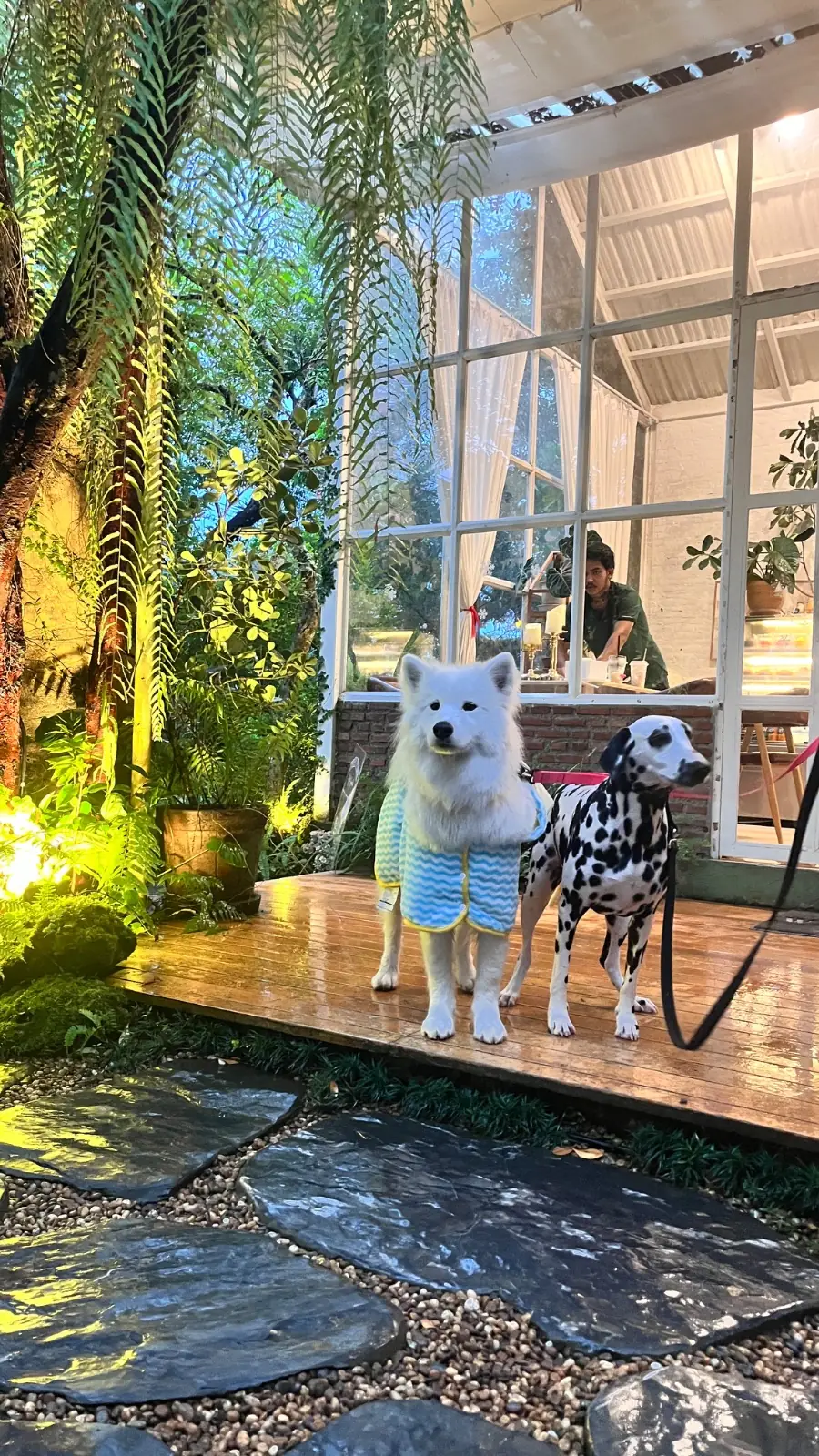 Tree Time Cafe & Garden pets image 1