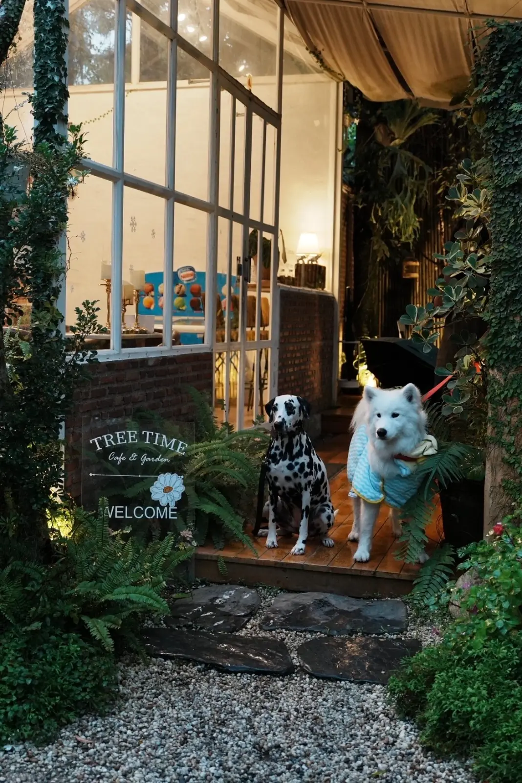 Tree Time Cafe & Garden pets image 3