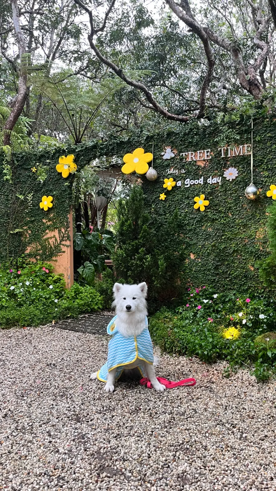 Tree Time Cafe & Garden pets image 4