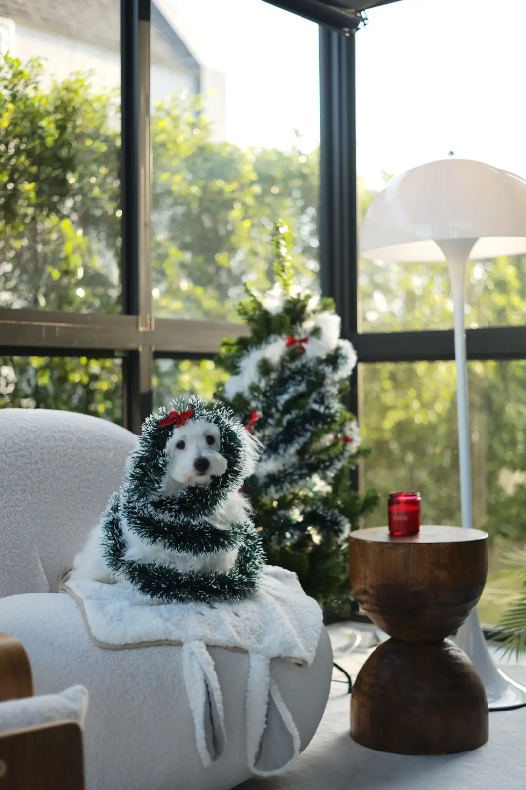 Season Hill Khao Yai pets image 1