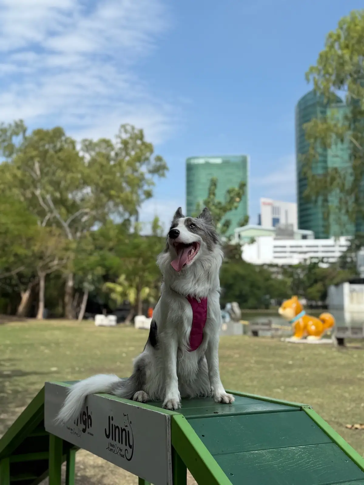 Pet Park pets image 2