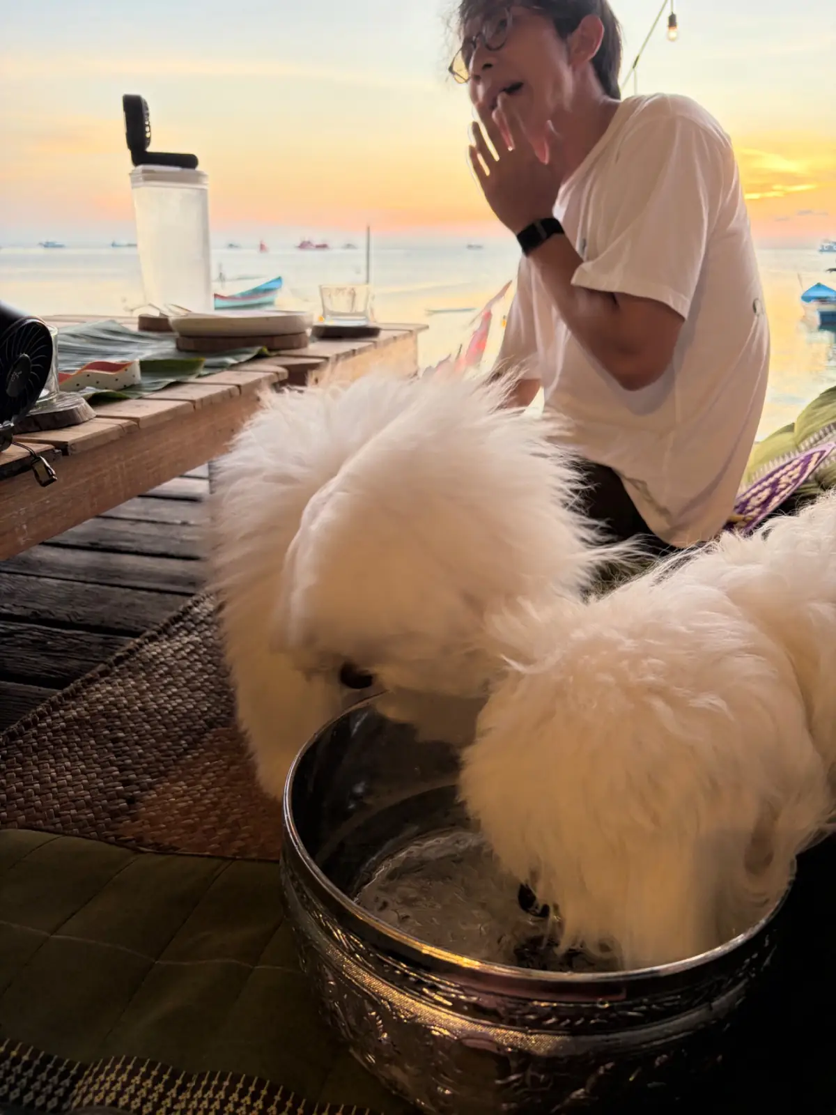 Chef's Table By Mama pets image 1