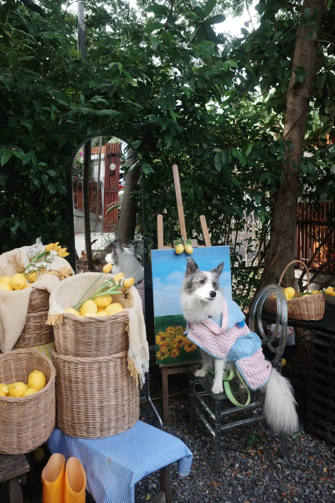 Calmandcoff Cafe pets image 5