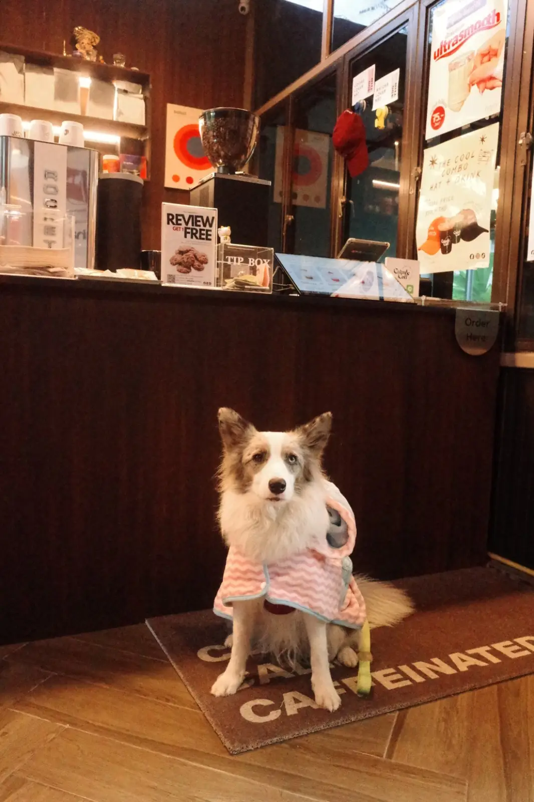 Calmandcoff Cafe pets image 2