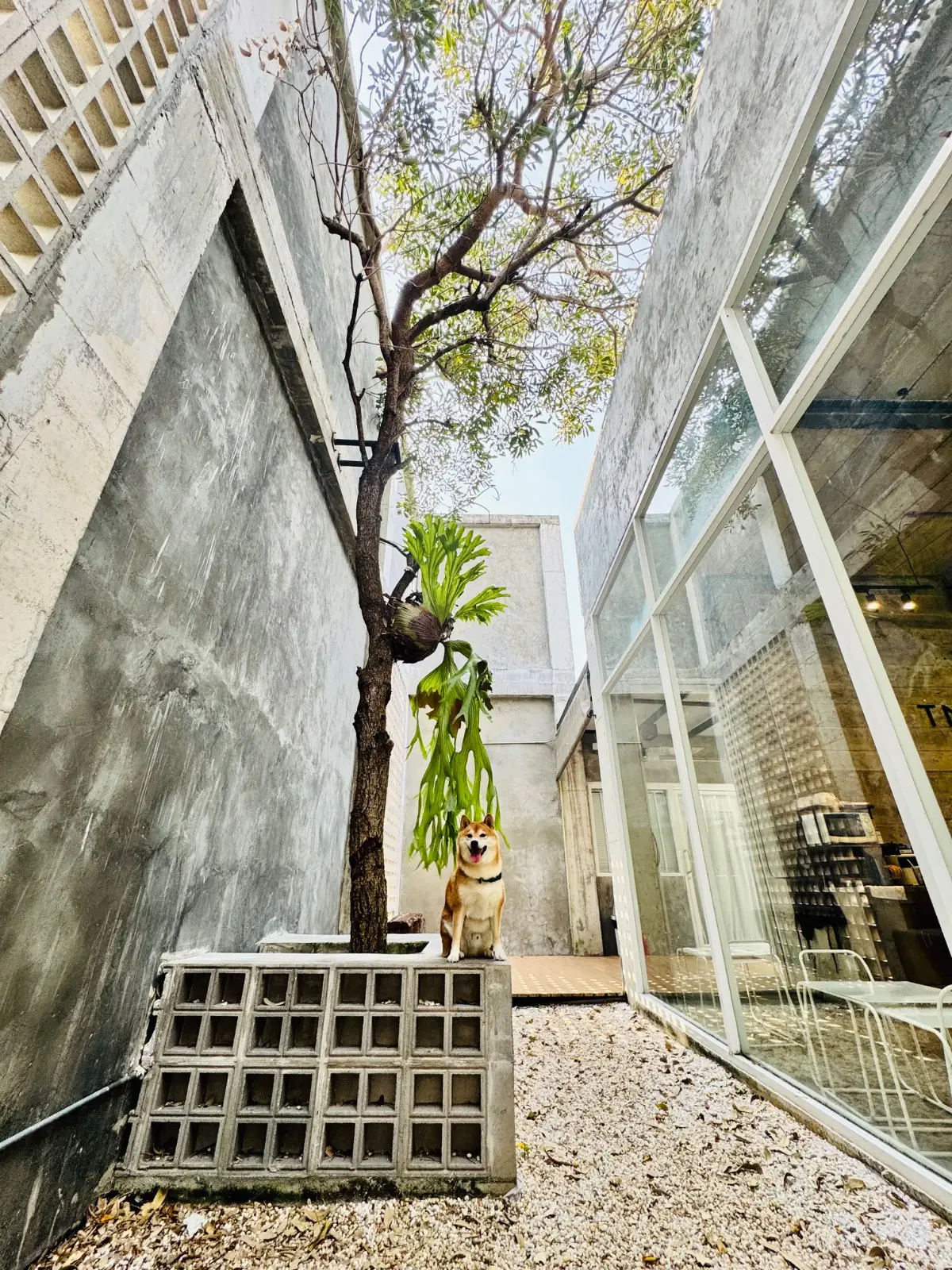 Taling Cafe ambiance image 1