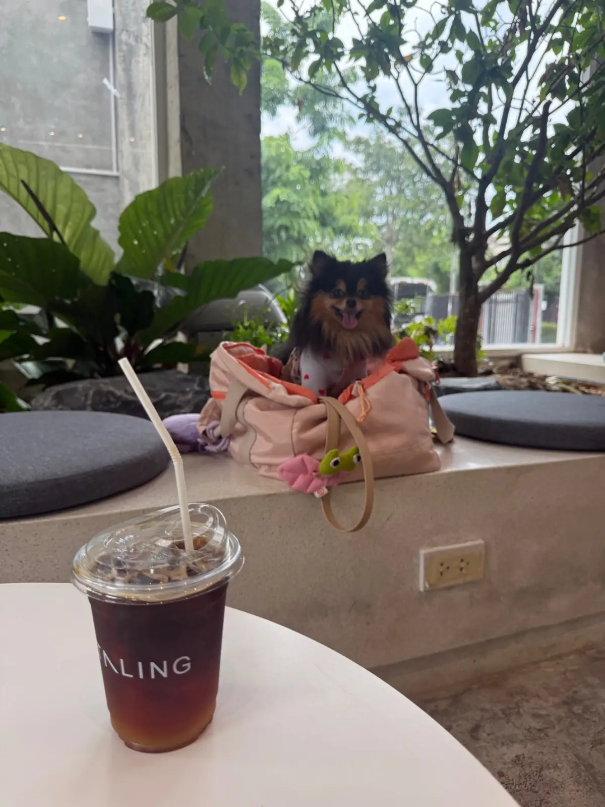 ตลิ่ง คาเฟ่ food image 8