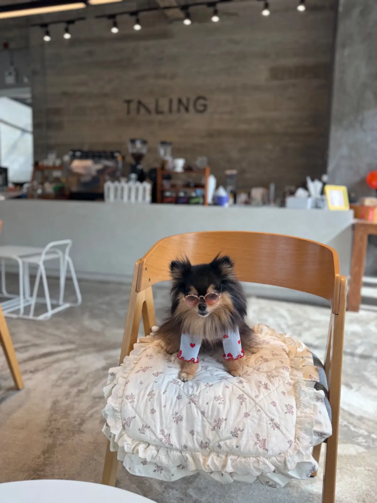 ตลิ่ง คาเฟ่ pets image 9