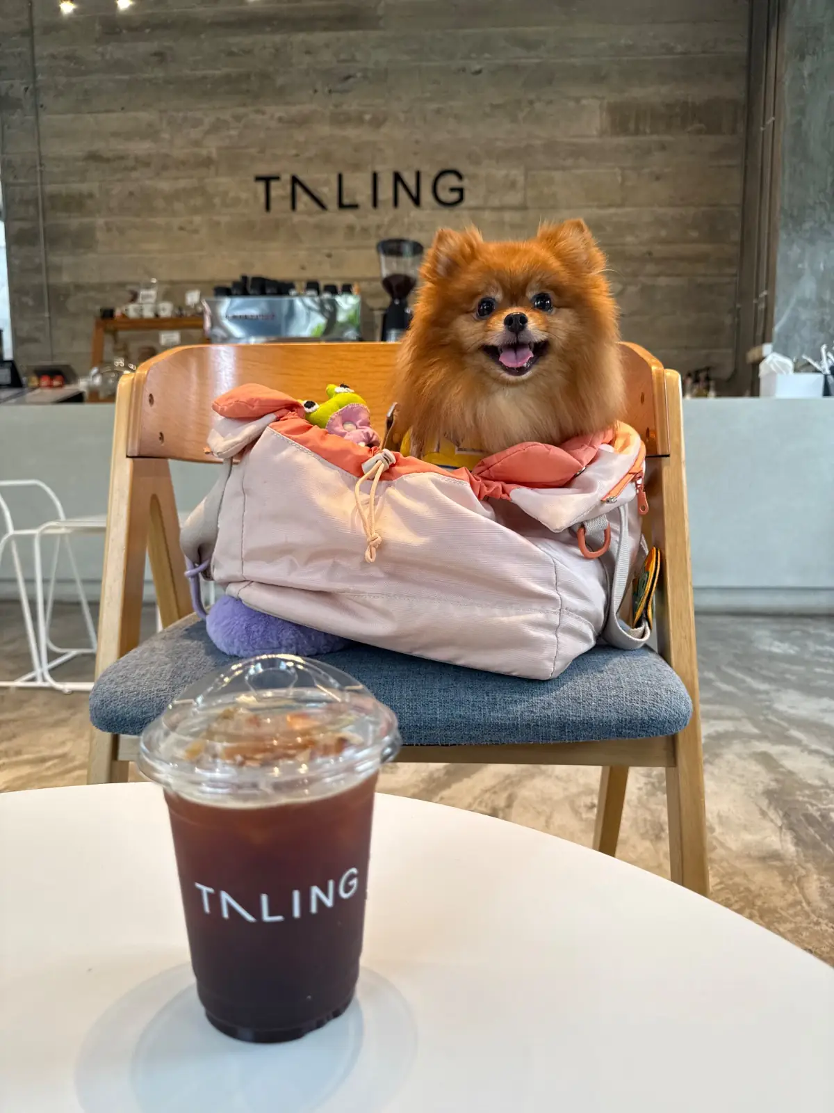 ตลิ่ง คาเฟ่ pets image 9
