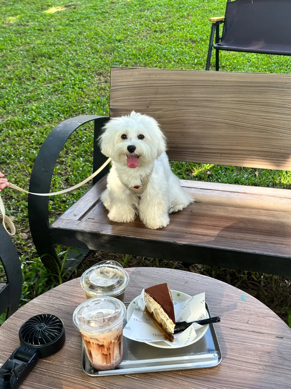 ตลิ่ง คาเฟ่ pets image 6
