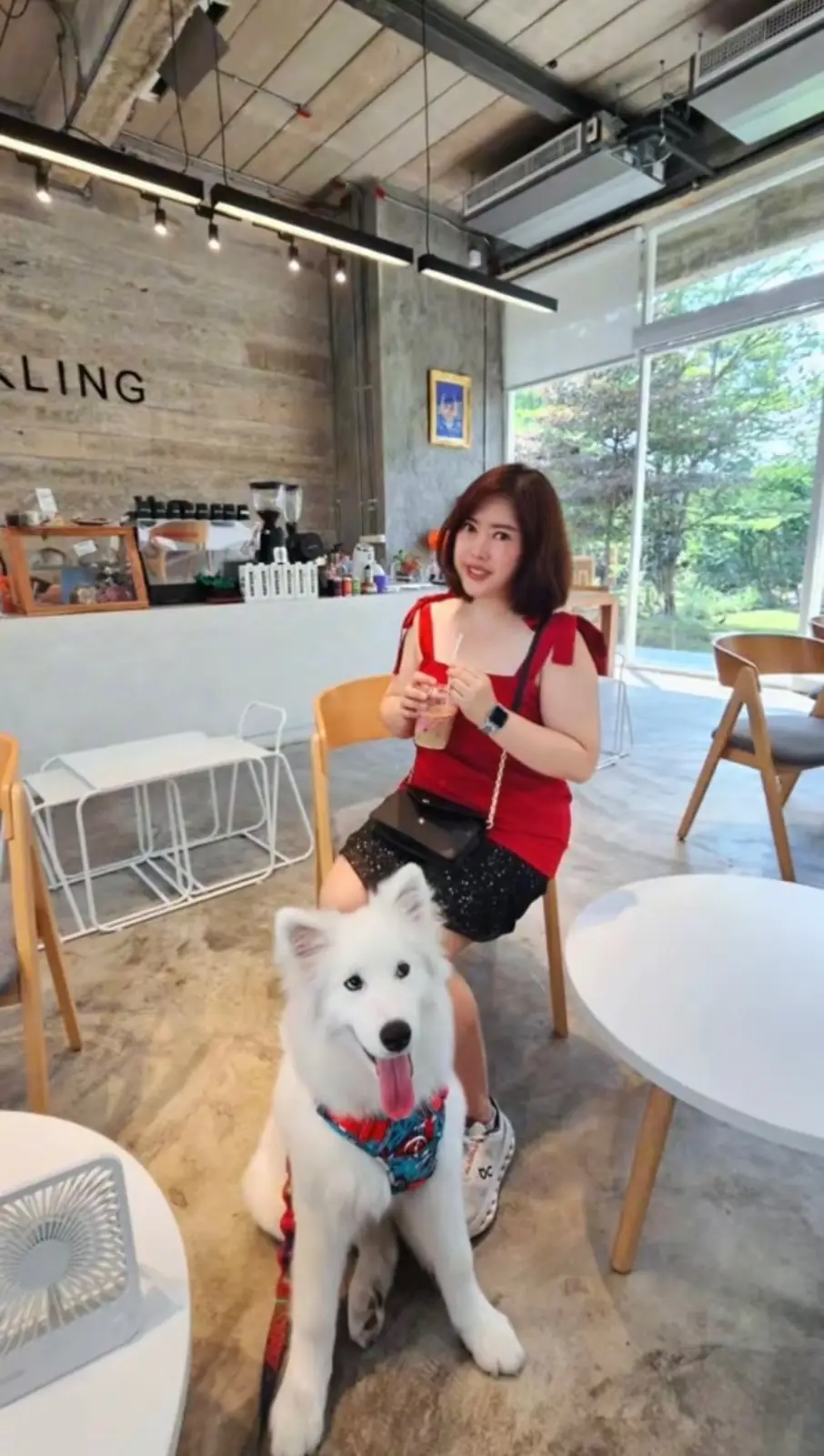 ตลิ่ง คาเฟ่ pets image 6