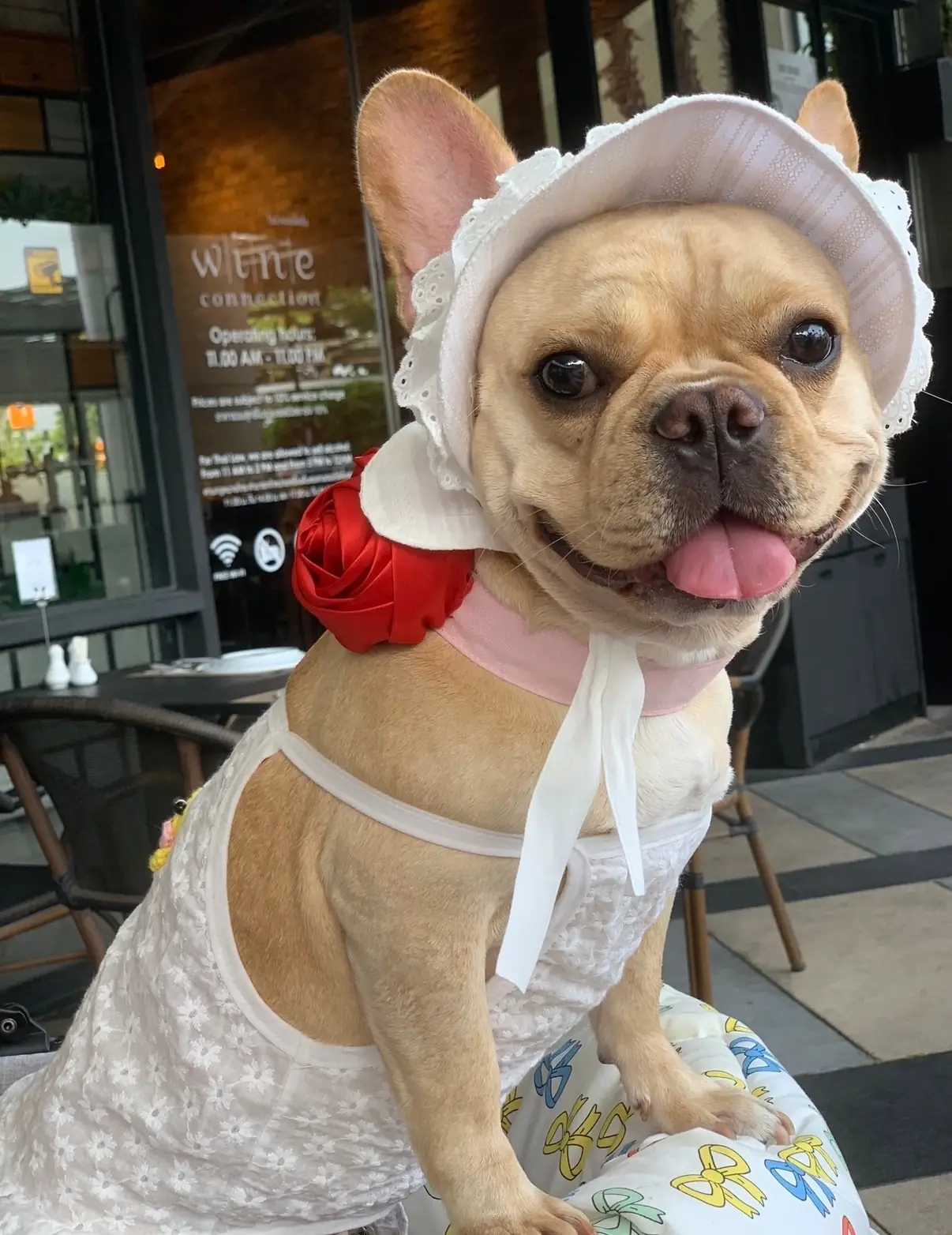 Wine Connection - Mega Bangna other image 2