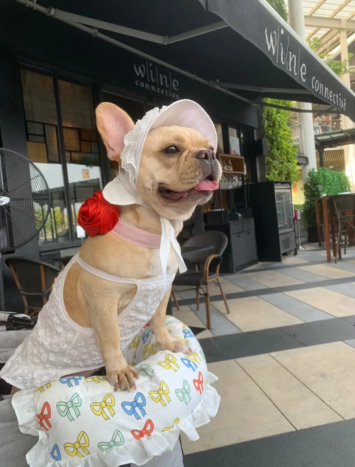 Wine Connection - Mega Bangna other image 1